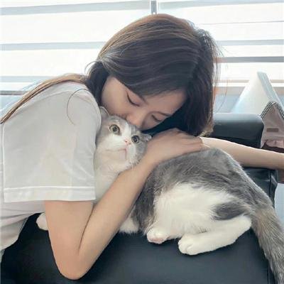 龙三和他的七人党